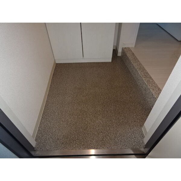 プレミアコート星ヶ丘 玄関