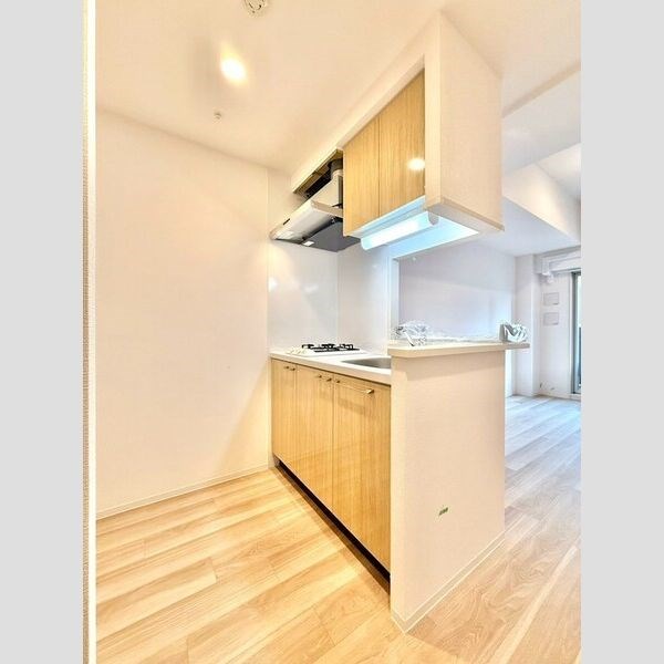 エスリード ザ・レガリア新栄PREMIER キッチン