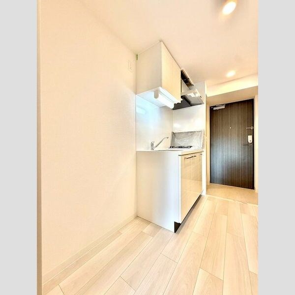 エスリード ザ・レガリア新栄ALTAIER キッチン