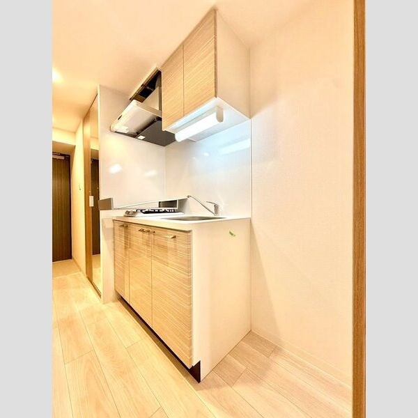 エスリード ザ・レガリア新栄ALTAIER キッチン