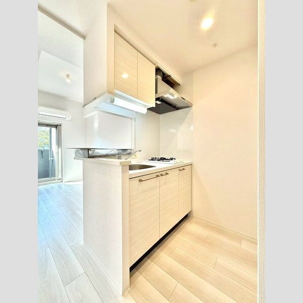 エスリード ザ・レガリア新栄ALTAIER キッチン