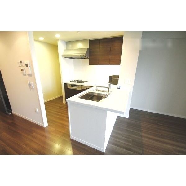 ＴＨＥ　ＳＡＫＡＥ　ＲＥＳＩＤＥＮＣＥ キッチン