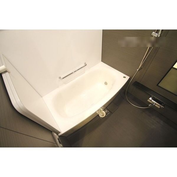 ＴＨＥ　ＳＡＫＡＥ　ＲＥＳＩＤＥＮＣＥ 風呂画像