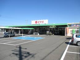 オクトⅡ 周辺画像5