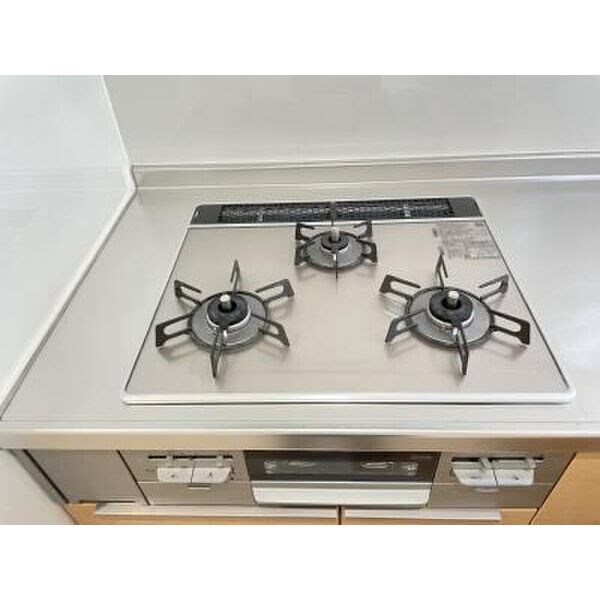 ライオンズマンション栄第2 その他4