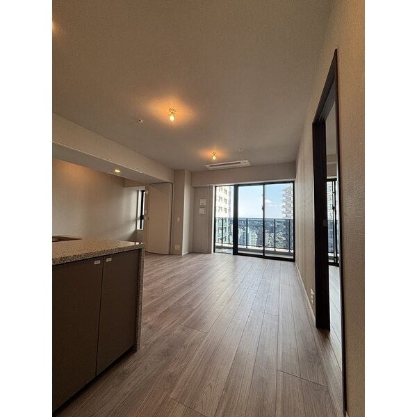 グランドメゾンthe池下ガーデンタワー ベランダ