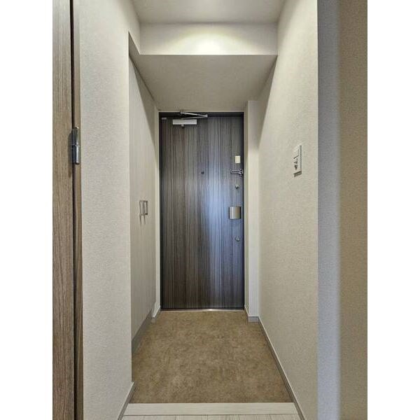 ディアレイシャス名古屋大須通 玄関