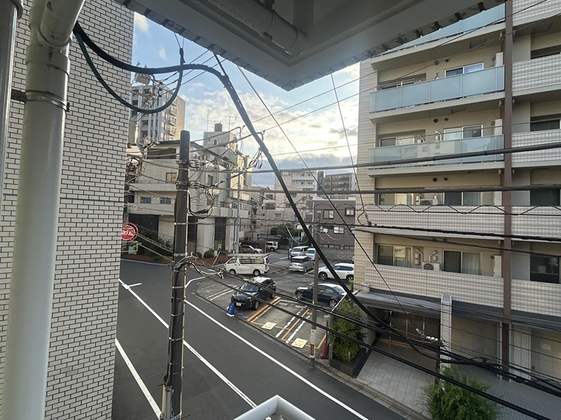 東京都新宿区早稲田鶴巻町 眺望