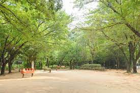 エスティメゾン代沢 公園