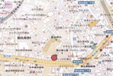 グレイス代官山 地図（共通）