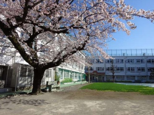 シティハウス中目黒ステーションコート 小学校