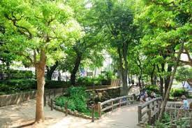 笹塚3丁目戸建 公園