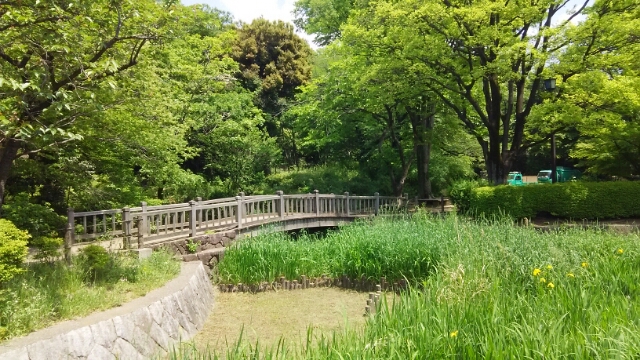 パークハウス玉川岡本 公園