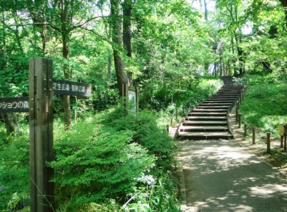 クラッサ目黒かむろ坂 公園