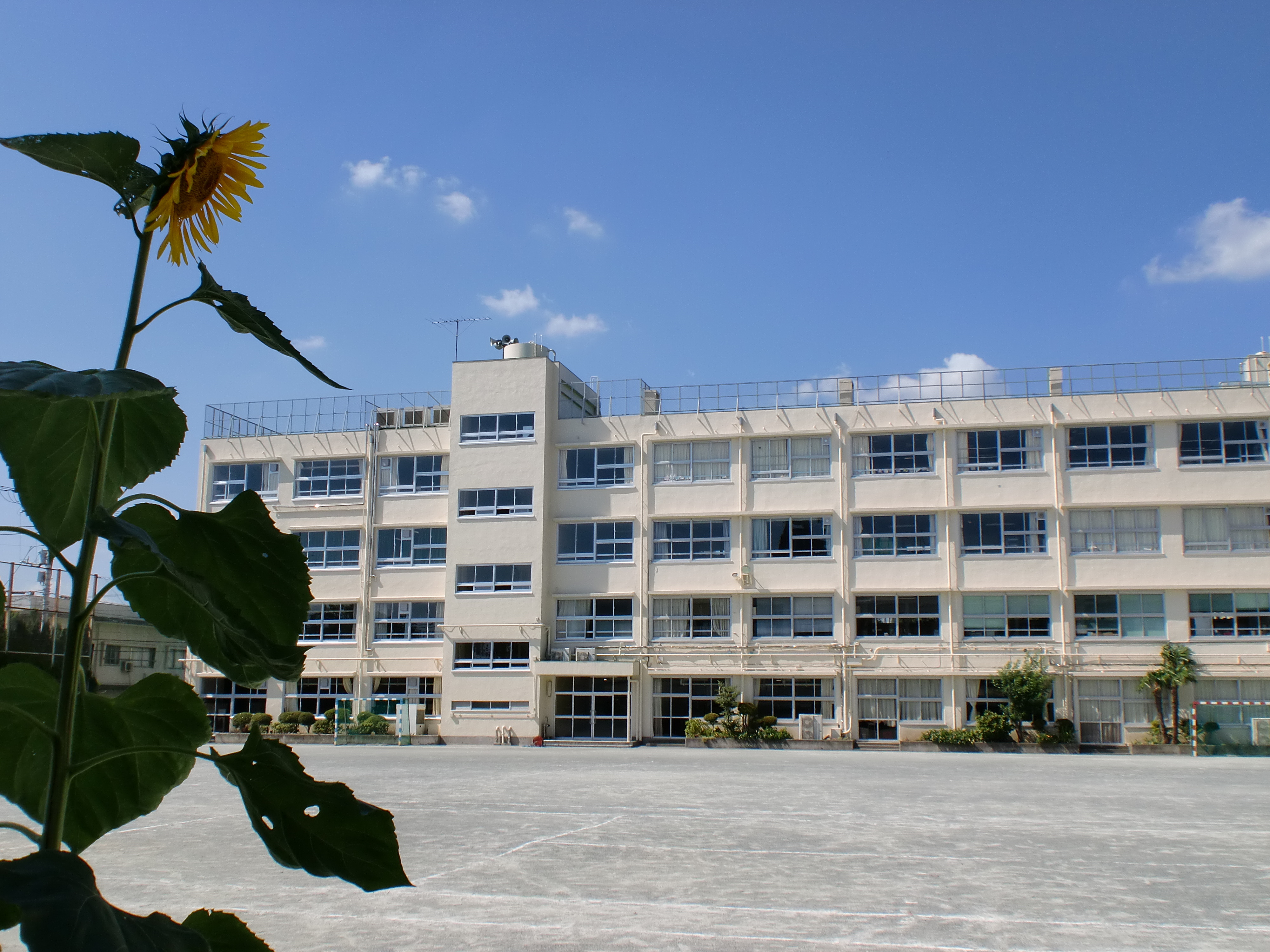 PROP SANGENJAYA 中学校