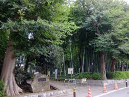クレール碑文谷 公園