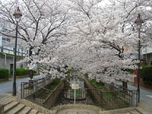 ルミエール等々力 公園