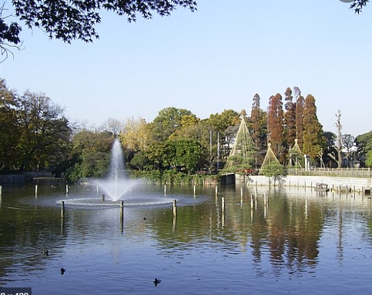 ハイム コルヌイエ A棟 公園