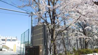 フォルモント 小学校