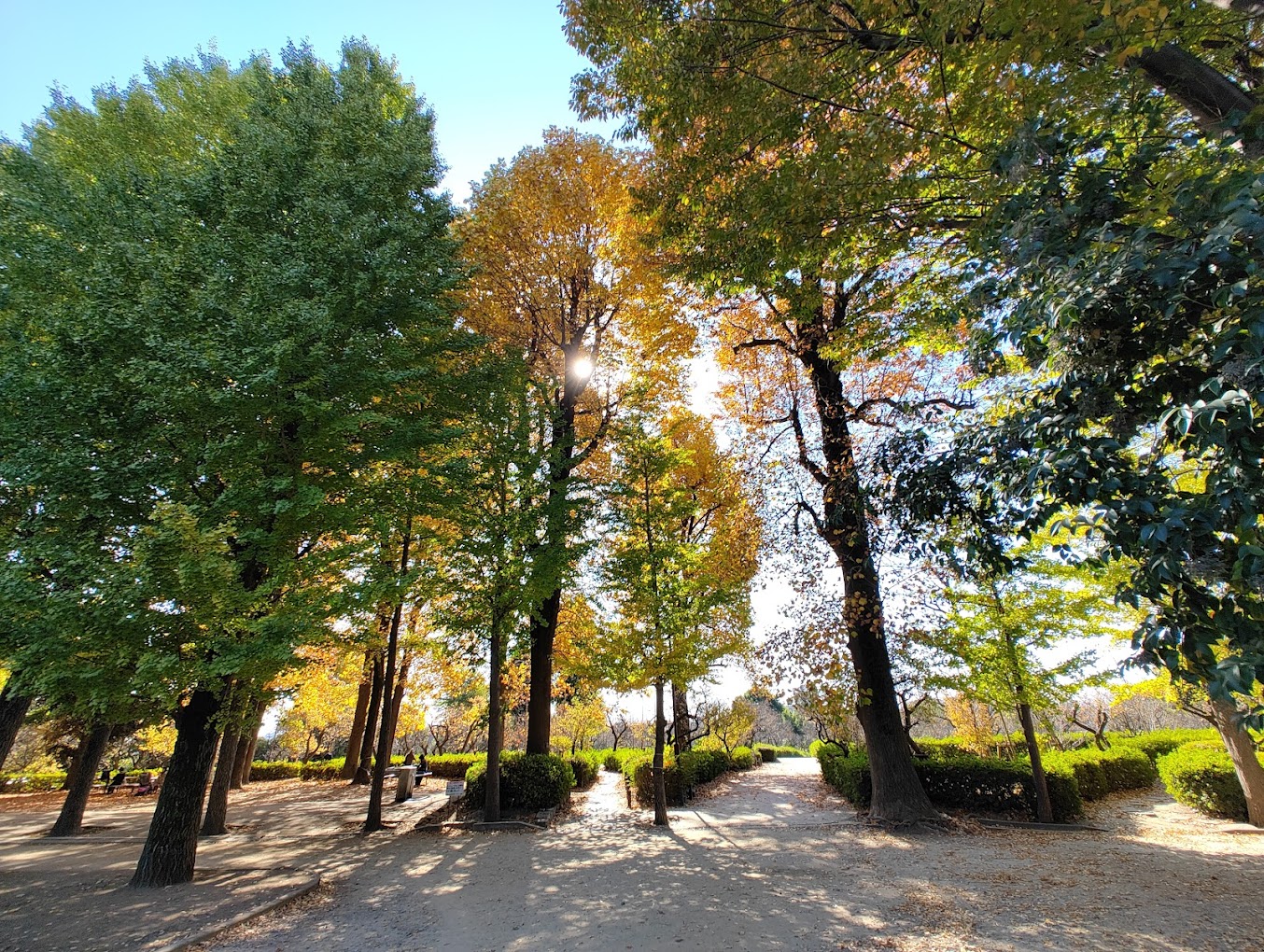 ピアース世田谷松原 公園