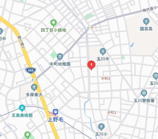 パストラルハイム上野毛 その他