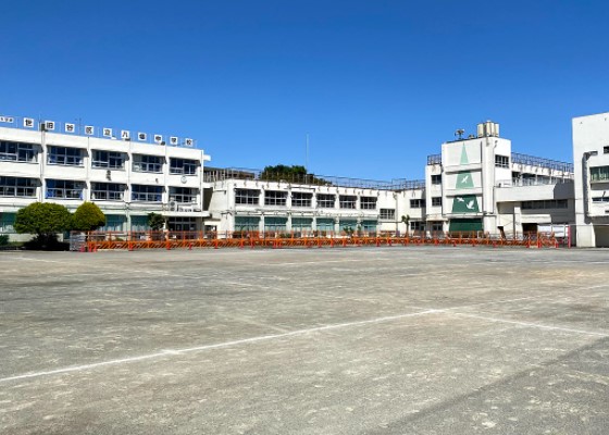 ウィルローズ自由が丘 中学校