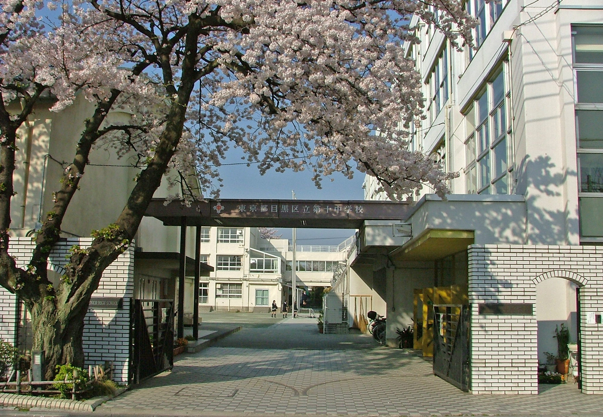 八雲5丁目戸建 中学校
