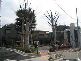 船橋5丁目戸建 公園