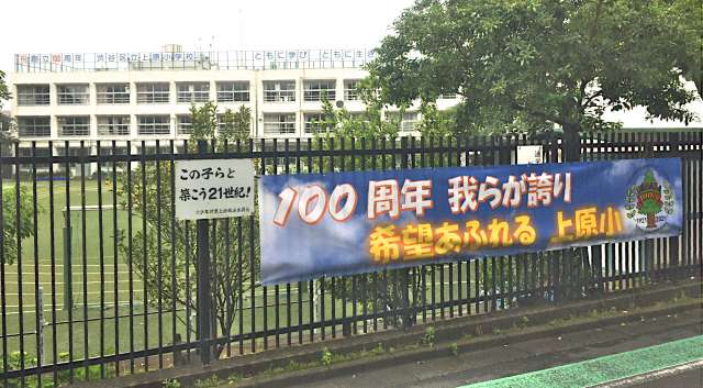 メゾンブラッシュ代々木上原Ⅱ 小学校
