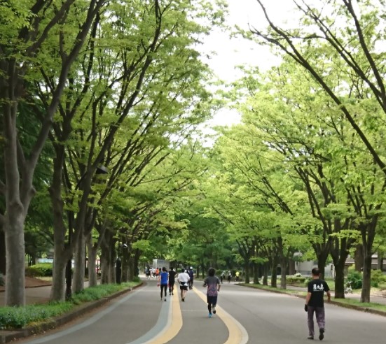 クラインヴァルト駒沢 公園