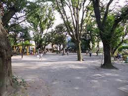 コートガーディニア 公園