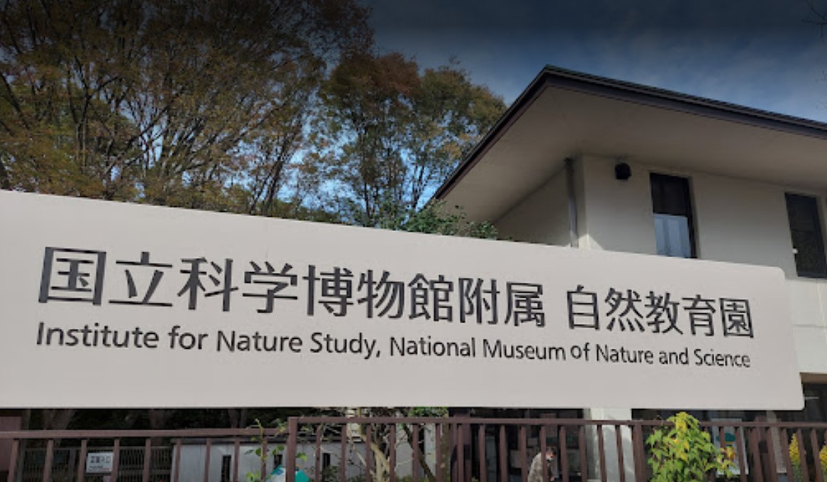 ブランズ白金台五丁目 公園