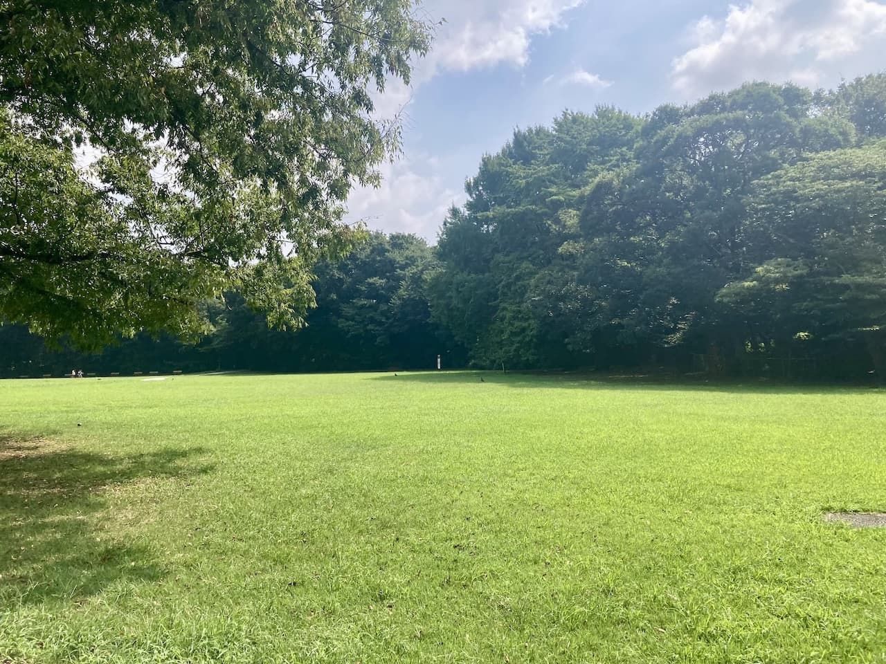 GRAND砧公園 公園