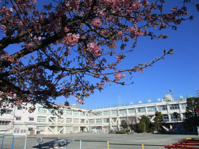 等々力5丁目戸建 小学校