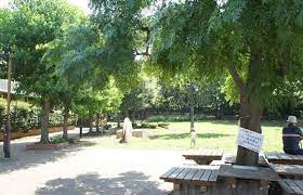 等々力5丁目戸建 公園