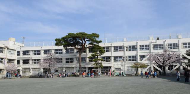コア上野毛 小学校