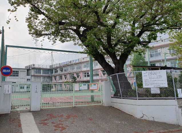 田園調布フォレストヒルズ 小学校
