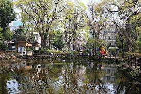 リヴレ駒場 公園