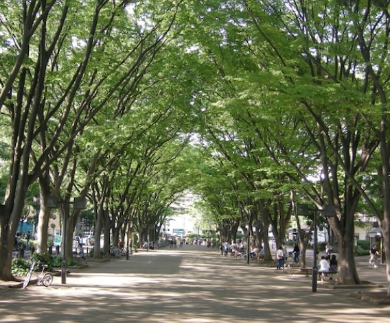 ガーデン上用賀ハウス 公園