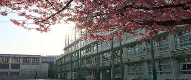 ペアシティ表参道 中学校