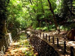 グラン ボヌール 公園
