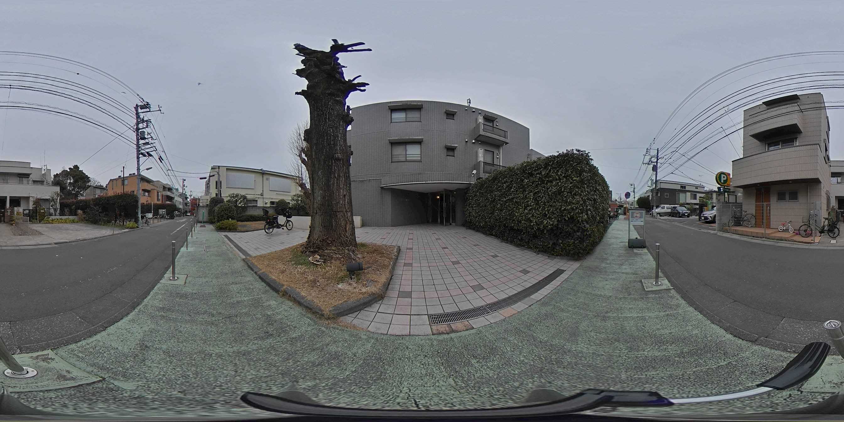 外観