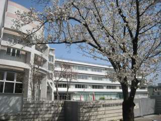 Kolet三軒茶屋 小学校