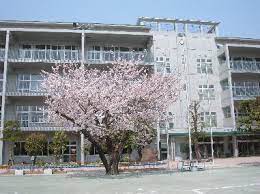 パークアクシス千歳船橋 小学校