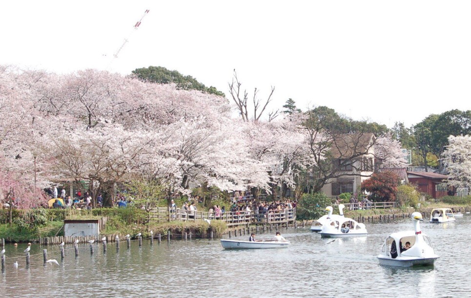 南千束3丁目戸建 公園