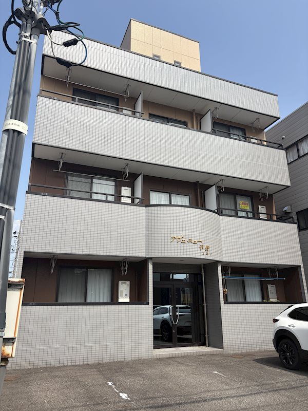 アベニュー平野志比口 外観