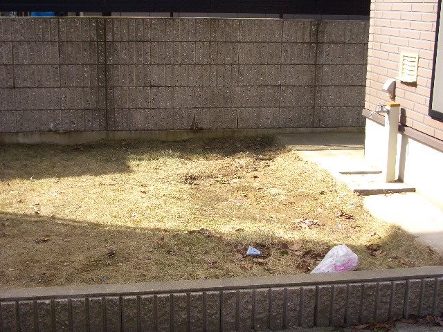 南四ツ居２丁目貸家 庭