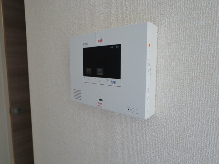 セレスティンワール その他1