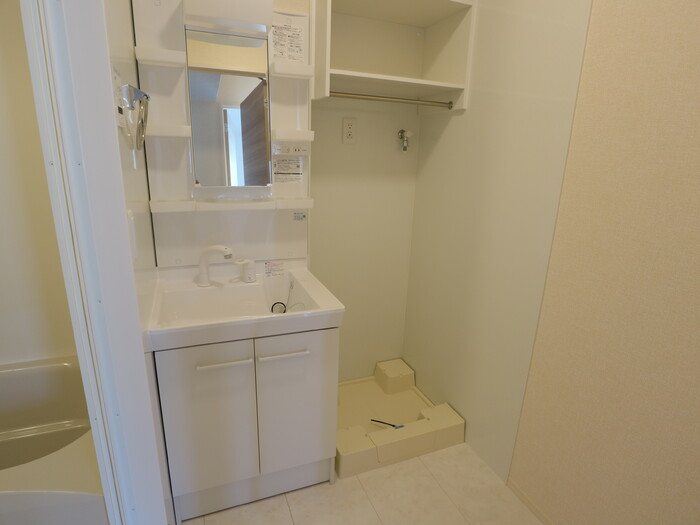 セレスティンワール その他4