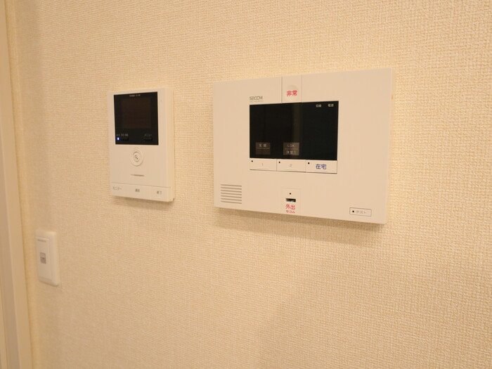 セレスティンワール  その他1